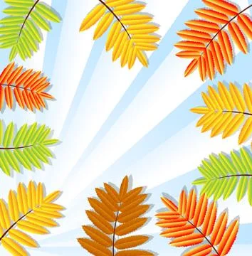 Background for a design with the autumn leaves of wild ash Stock Illustration