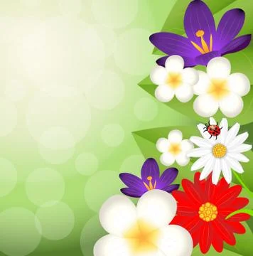 Background for a design with beautiful flowers Stock Illustration
