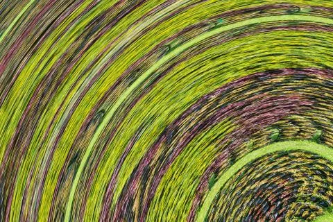 Background design Illustrazione stock