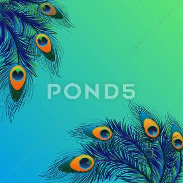 Background design with peacock feathers Illustration #62252276