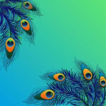 Background design with peacock feathers Stock Illustration