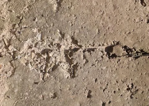 Background of destroyed concrete path, gray concrete, concrete texture, close-up Stock Photos