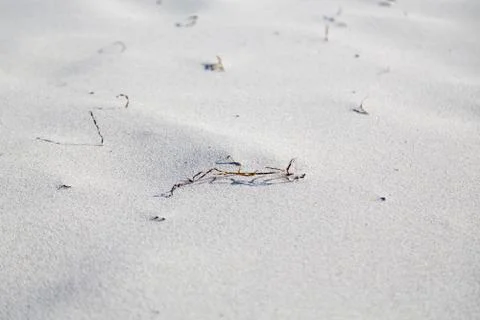 Background with details of a beach Stock Photos