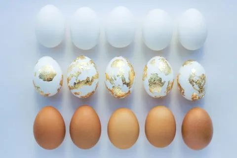 Background of different eggs on a white background 写真素材