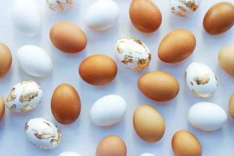 Background of different eggs on a white background 写真素材