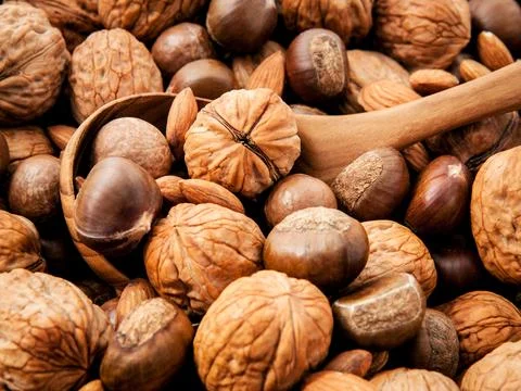 Background with different kinds of nuts walnuts kernels ,macadamia,hazelnut.. Stock Photos