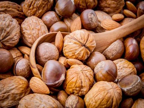 Background with different kinds of nuts walnuts kernels ,macadamia,hazelnut.. Stock Photos