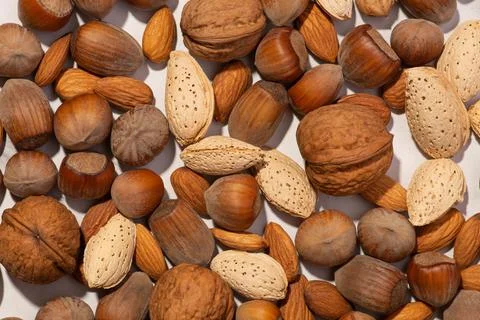 Background with different nuts on a white background Stock Photos