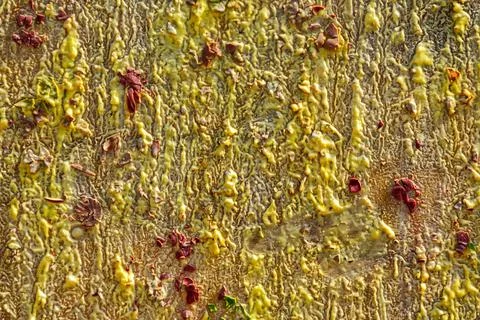Background from different paints on the wall. Stock Photos