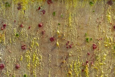 Background from different paints on the wall. Stock Photos