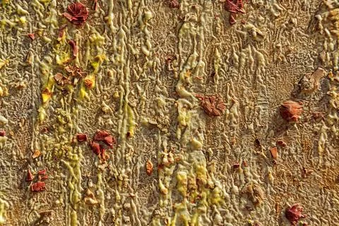 Background from different paints on the wall. Stock Photos