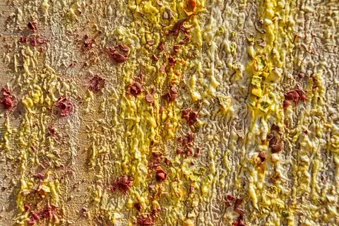 Background from different paints on the wall. Stock Photos