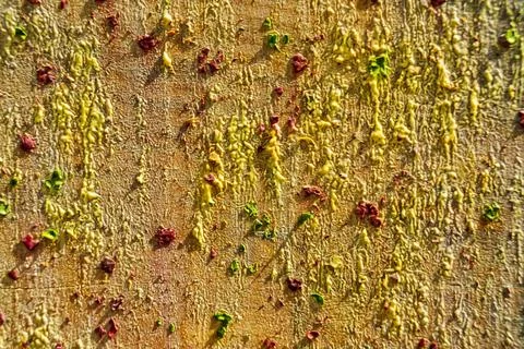 Background from different paints on the wall. Stock Photos