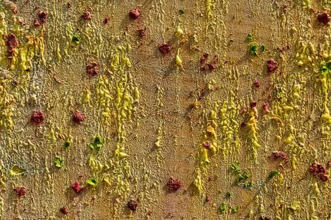 Background from different paints on the wall. Stock Photos