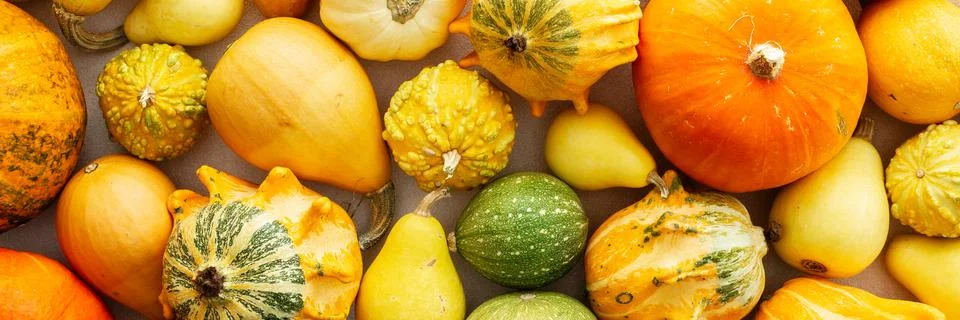 Background of different pumpkins Stock Photos
