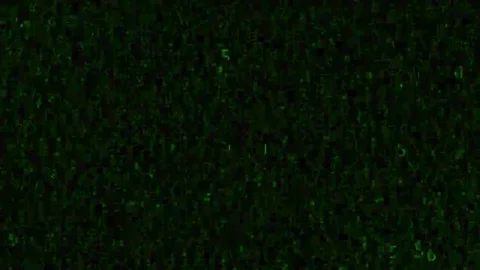 Background of the digits Stock-Footage 69099173