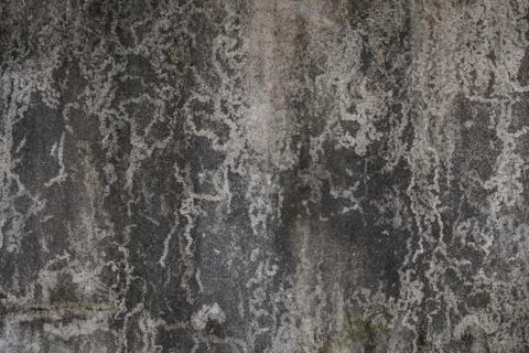Background of dirty cement wall. Old grunge with concrete Texture. Stock Photos