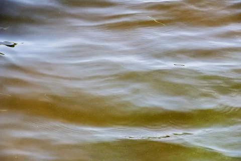 Background of Dnieper River water surface with ripples. River water in autu.. Stock Photos
