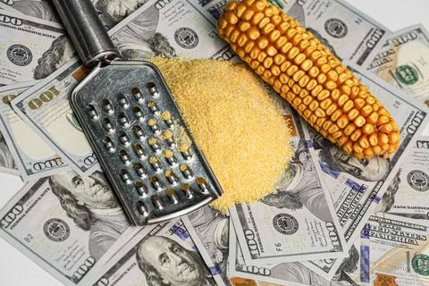 A background with dollars placed on them cornmeal and with a grater showing that Stock Photos