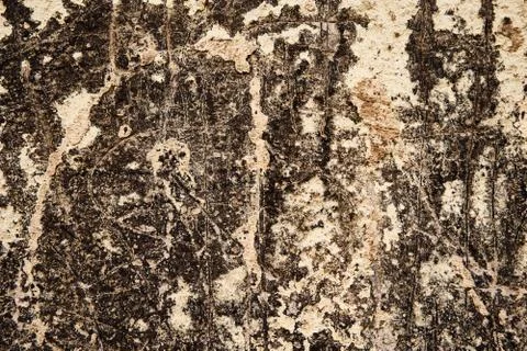 Background dotted grainy texture. Hard old painted wall in grunge style. Surface Stock Photos