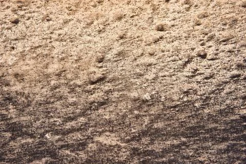 Background dotted grainy texture. Hard old painted wall in grunge style. Surface Stock Photos