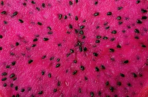 Background dragon fruit slice ripe wet pitahaya cut Stock Photos