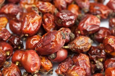 Background from the dried berries rose hips Stock-Fotos