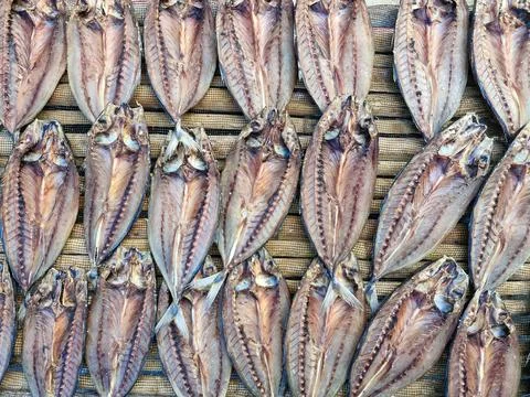 Background of dried fish. Raw dried fish Stock Photos