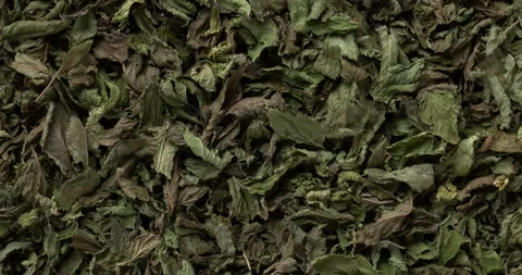 Background of dried mint leaves. Video stock 279770329