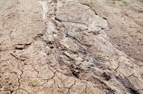 Background of dried mud Stock Photos