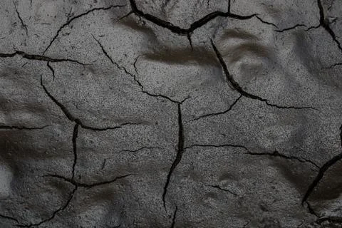 Background of dried mud Stock Photos