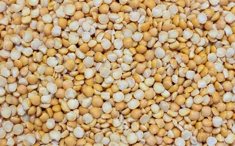 Background of dried peas close-up. The texture of the dried peas Stock Photos