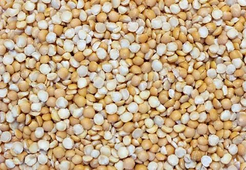 Background of dried peas close-up. The texture of the dried peas Stock Photos