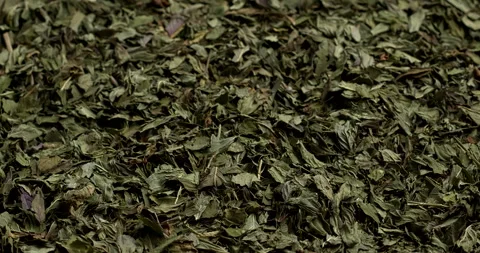 Background of dried peppermint leaves. Stock Footage 297902801