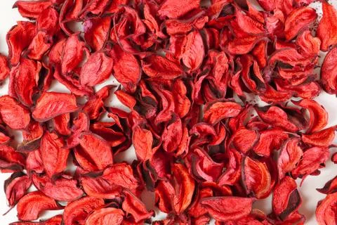 Background of dried petals Stock Photos
