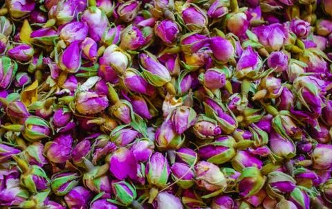 Background Dried rosebuds background texture closeup. violet rosebud macro cl 写真素材