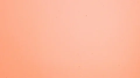 Background drop blood Stock Footage 99935502