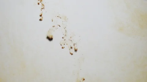 Background dropping coffee powder into the water splashing beautifully Stock Footage 100374811