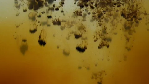 Background dropping coffee powder into the water splashing beautifully Stock Footage 100375347