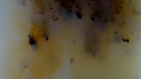 Background dropping coffee powder into the water splashing beautifully Stock Footage 102710230