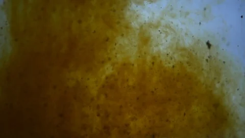 Background dropping coffee powder into the water splashing beautifully Stock Footage 111697479