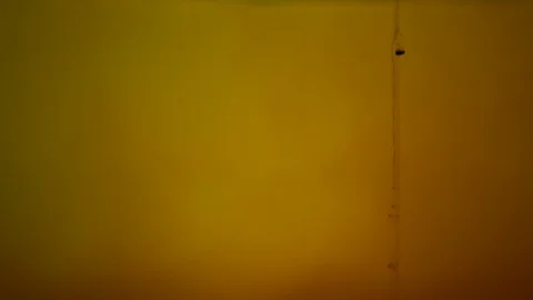 Background dropping coffee powder into the water splashing beautifully Stock Footage 111697526