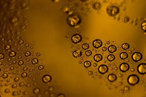 Background of drops of different sizes on the Red glass pattern Stock Photos