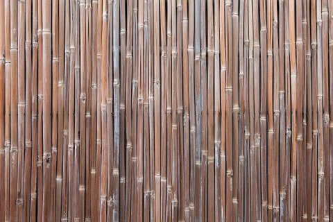 Background of dry bamboo vertical Stock Photos