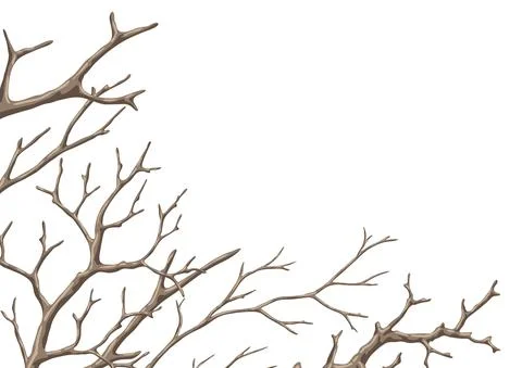 Background with dry bare branches. Decorative natural twigs. Stock Illustration