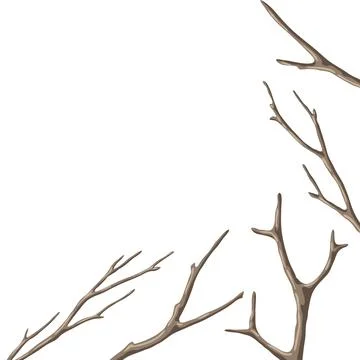 Background with dry bare branches. Decorative natural twigs. Stock Illustration