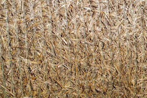 The background is from a dry compressed into a roll of grass. Stock Photos