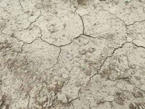 Background of dry cracked soil Stock Photos