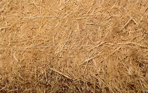 Background of dry grass, hay Foto stock