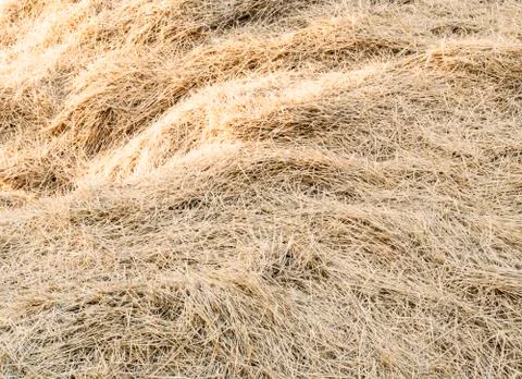 Background dry hay Stock Photos